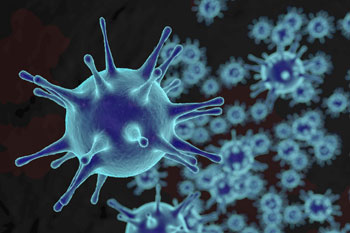 Public Health NC Krankheitserreger